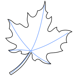 How to Draw a Leaf