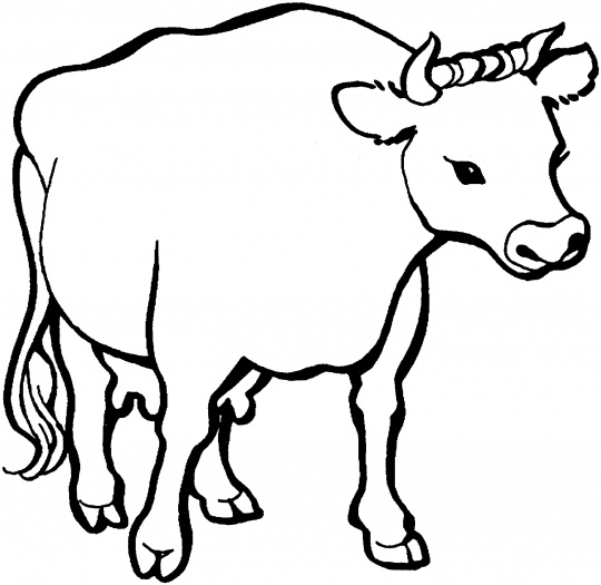 Cow 26 coloring page | Super Coloring