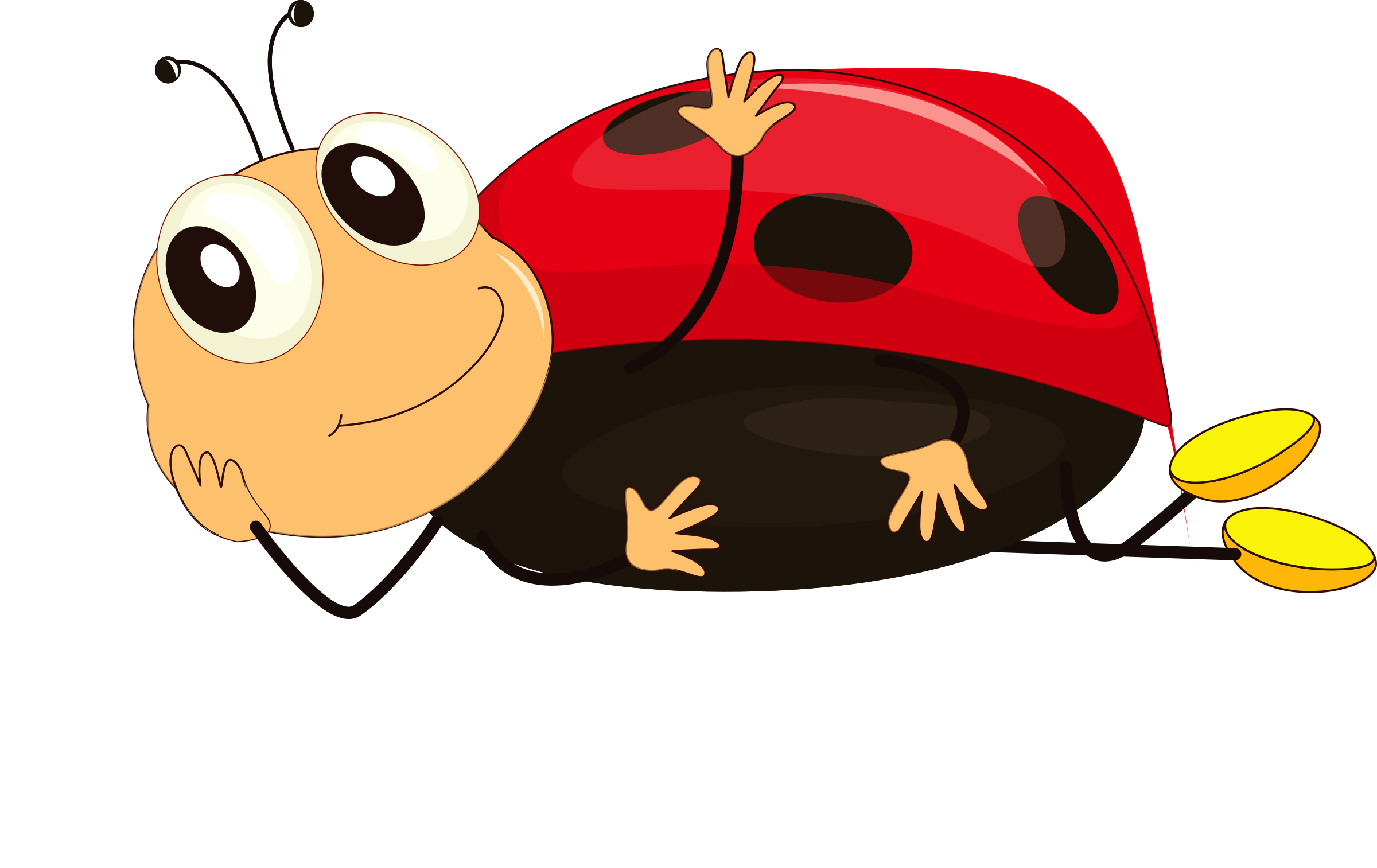 Cartoon insect clipart