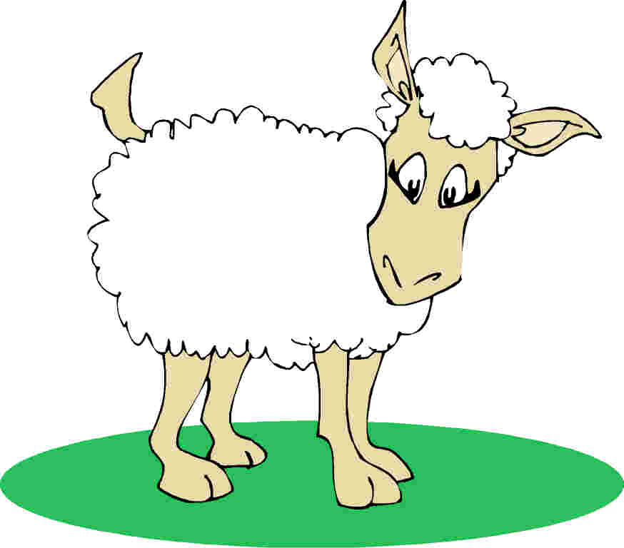 Cartoon Sheep Picture