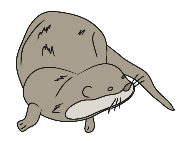 Otter Clip Art - Free Clipart Images