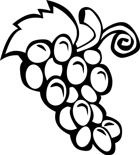 Fruit Outline Clipart