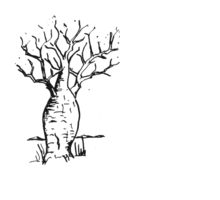 Baobab Tree Drawing - ClipArt Best