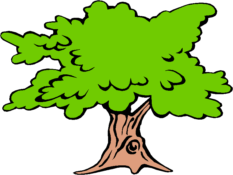 Dead sycamore tree clipart