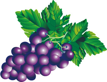 Vector grape for free download about (174) vector grape. sort by ...