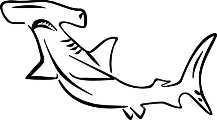 Hammerhead Shark Coloring Page - Coolage.net