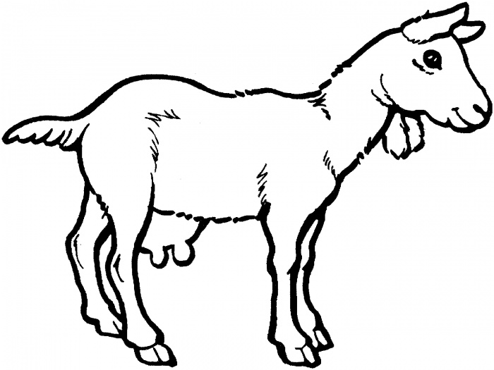 Bleating goats 18 goat coloring pages and pictures | Print Color Craft