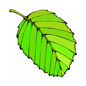 Free Leaves Clipart. Free Clipart Images, Graphics, Animated ...