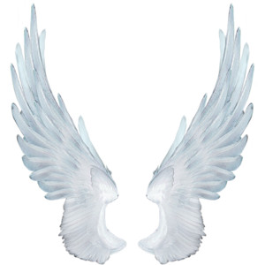 Angel Wings - Polyvore