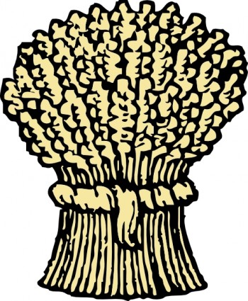 4 wheat clipart