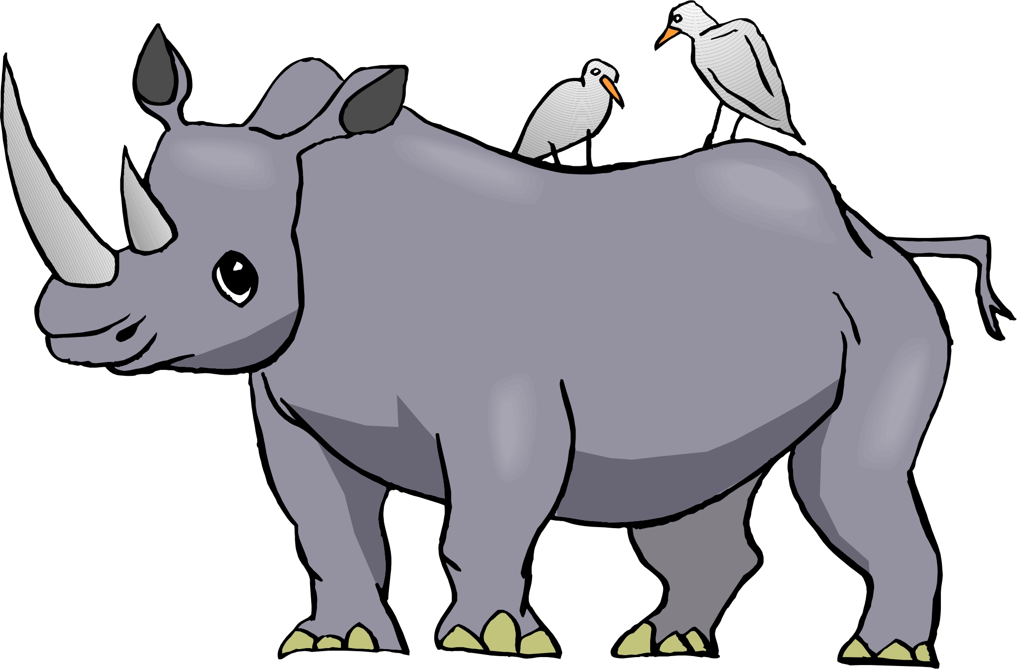 Cartoon Rhino Pictures