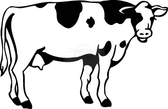 Cow Line Art