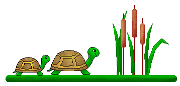 Turtle Clip Art - Turtles and Cattails on Green Linebars - Turtles ...