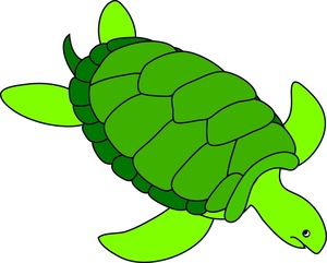 Animated Turtle Clip Art - ClipArt Best