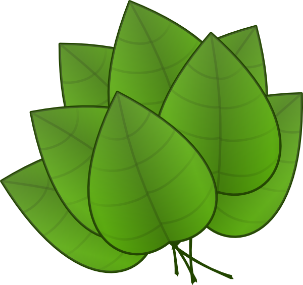 Jungle Leaf Outline - ClipArt Best