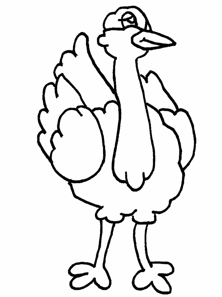 Ostrich Drawing For Kids - ClipArt Best