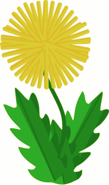 Dandelion Clip Art