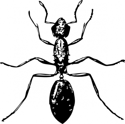 Ant Clipart Black And White - ClipArt Best