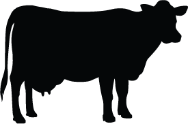 Cow silhouette clipart