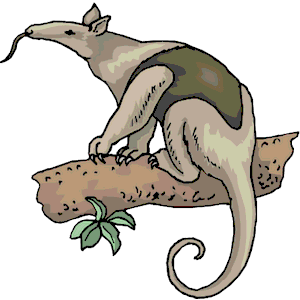 Anteater Clipart - Tumundografico