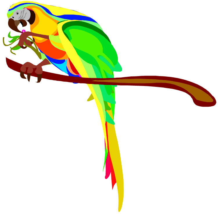 Parrot Pictures Cartoon | Free Download Clip Art | Free Clip Art ...