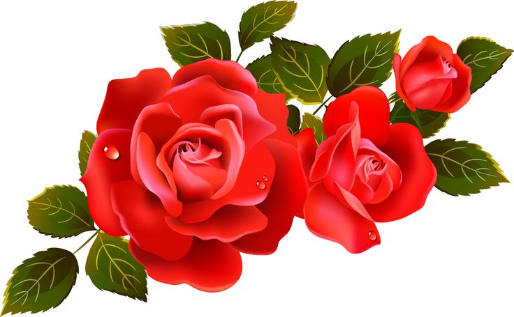 Red Rose Clip Art - Tumundografico