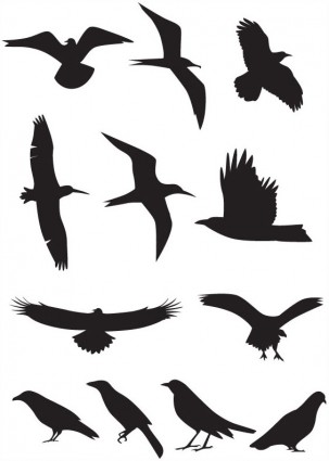 Bird Vector Art | Free Download Clip Art | Free Clip Art | on ...