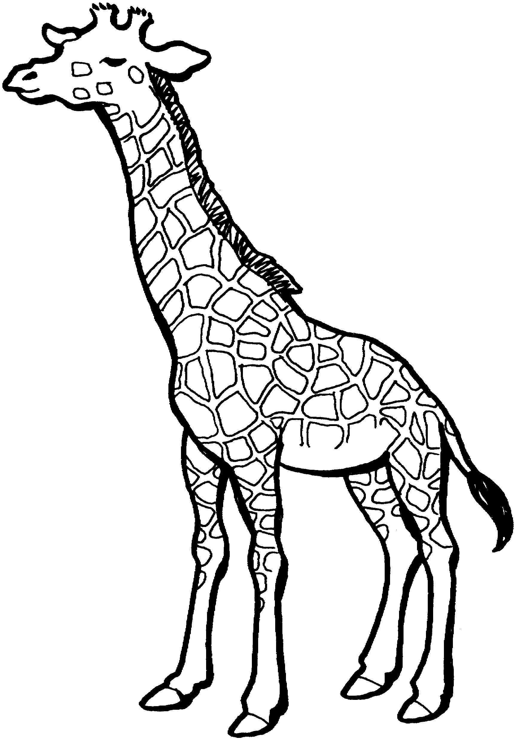 Line Art Giraffe - ClipArt Best
