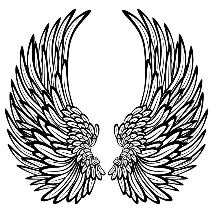 1000+ images about Angel Wings | Wall decals, Wing ...