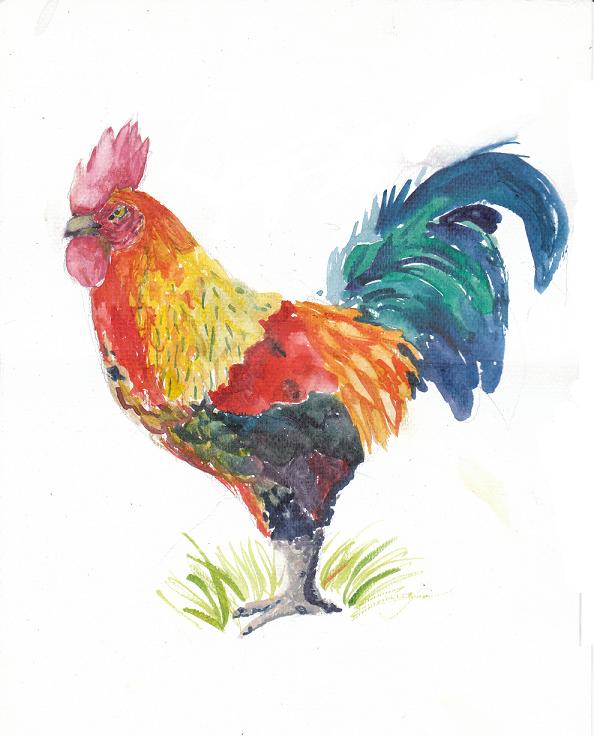 Rooster Sketches - ClipArt Best