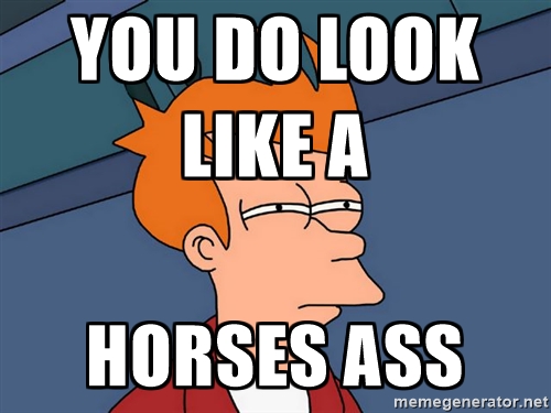 YOU DO LOOK LIKE A HORSES ASS - Futurama Fry | Meme Generator