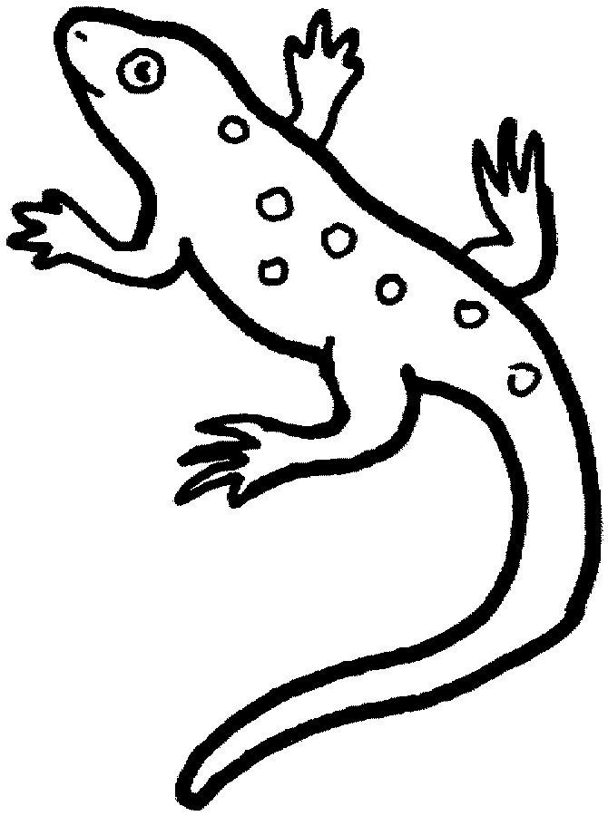 Pictures Of Cartoon Lizards | Free Download Clip Art | Free Clip ...