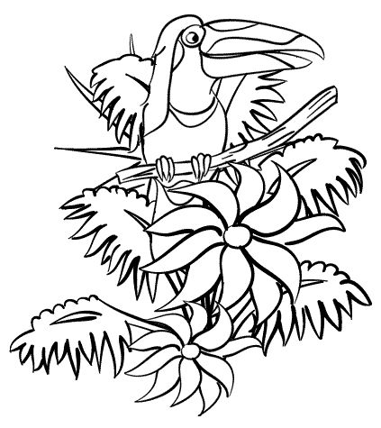 Coloring, Animal coloring pages and Tropical