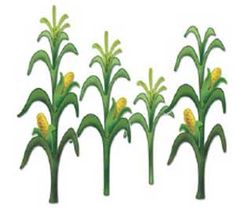 Corn stalk clipart free