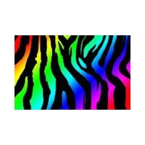 Myxer - Wallpaper - rainbow zebra - Polyvore