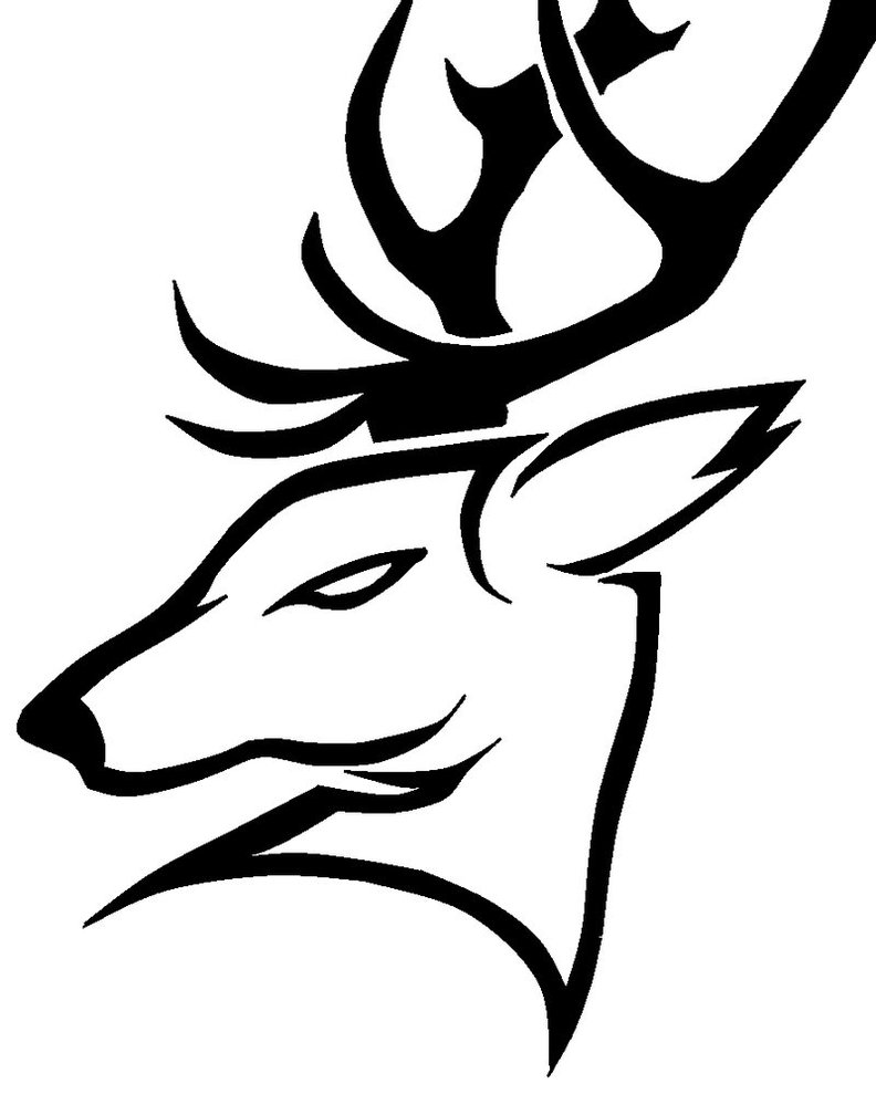 Stag Head by Theneck4544 on DeviantArt