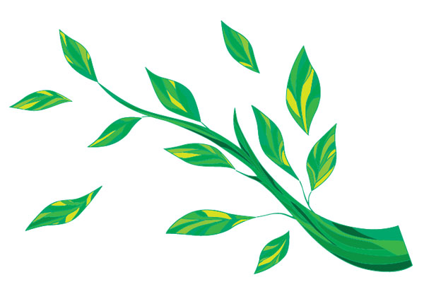 Branches And Leaves Free Graphics - Free Vector Site | Download ...