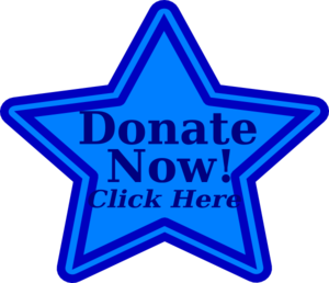 Donate Now Blue2 clip art - vector clip art online, royalty free ...