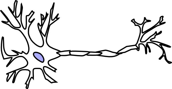 Wt Neuron Without Myelin Clip Art - vector clip art ...