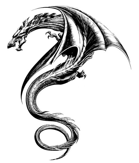 The Girl with the Dragon Tattoo: Tattoo Design 4 - graphic art ...