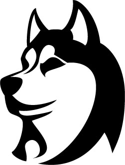 Husky Vector Image