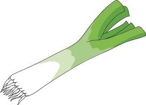 Vegetable Clipart Image - Fresh grown garden vegetable - Leek