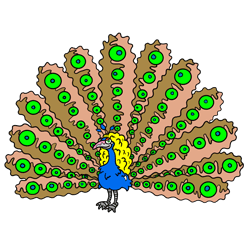 Cartoon Peacock Drawing Lesson