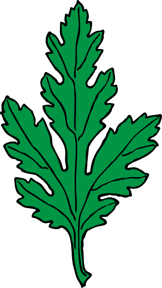 Chrysanthemum Clip Art - ClipArt Best