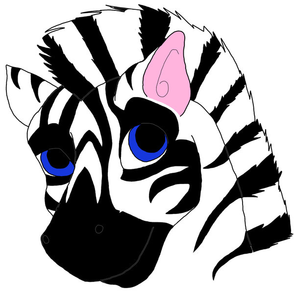 Cute Baby Zebra Pictures - ClipArt Best