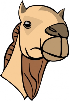 Camel Head clip art - Download free Other vectors