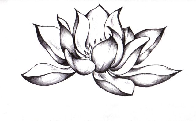 53+ Best Lotus Tattoos & Designs