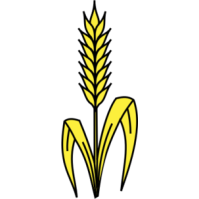 Clipart wheat