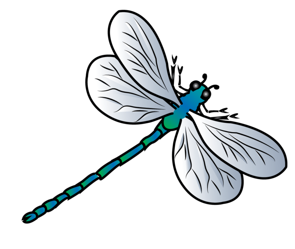 Dragonfly Vector by jscollon on DeviantArt