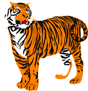 Standing Tiger Clip Art - vector clip art online ...